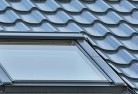 Burrierskylight-replacements.jpg; ?>